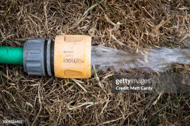 Hosepipe waters dry grass on a lawn in a garden in the village of Priston on July 23, 2018 near Bath, England. Seven million residents in the north...