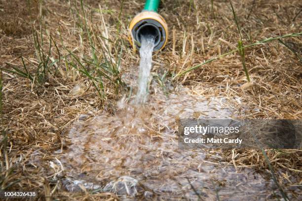 Hosepipe waters dry grass on a lawn in a garden in the village of Priston on July 23, 2018 near Bath, England. Seven million residents in the north...