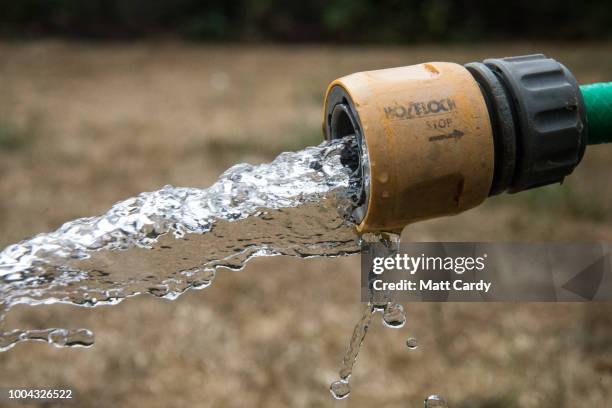 Hosepipe waters dry grass on a lawn in a garden in the village of Priston on July 23, 2018 near Bath, England. Seven million residents in the north...