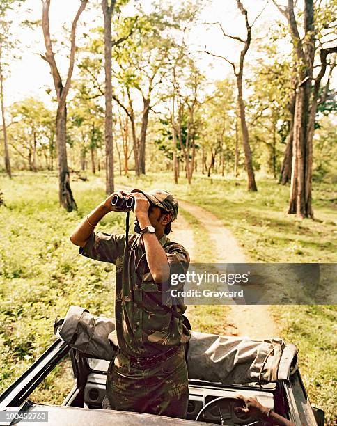 ranger looking for wildlife on safari - park ranger stock pictures, royalty-free photos & images