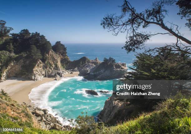 pfeiffer grande sur praia estado parque - cidade de monterey califórnia - fotografias e filmes do acervo