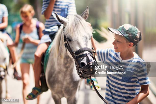 familie genieten van paardrijden - pony paard stockfoto's en -beelden