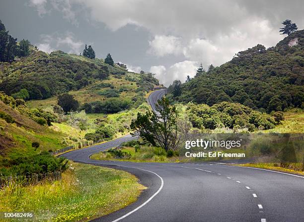 country road, north island, new zealand - nordinsel von neuseeland stock-fotos und bilder