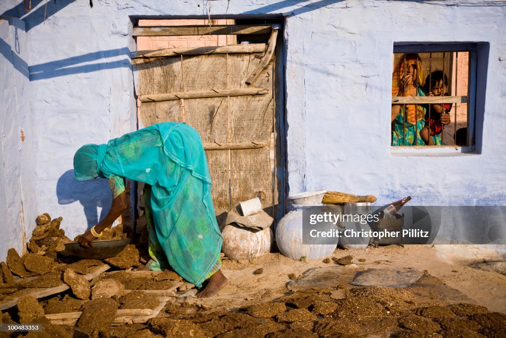 Collecting cattle dung for cooking from backyard