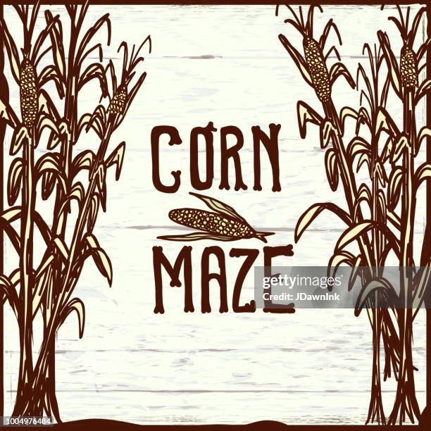 corn maze sign with corn stalks on wooden texture - corn maze stock illustrations