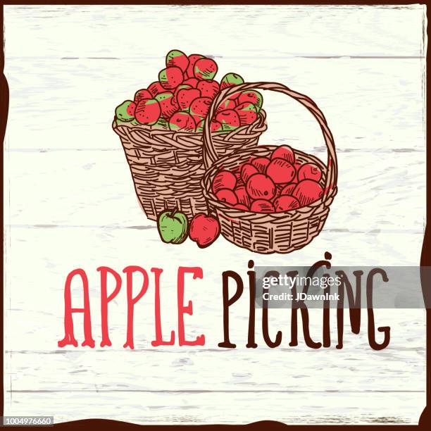 apple picking sign hand lettered on wooden texture - apple picking stock illustrations