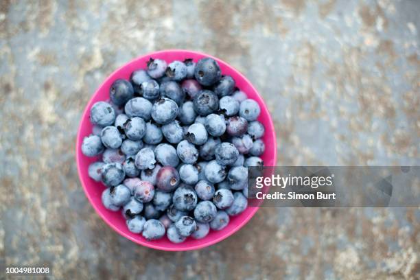 a pink bowl of freshly picked blueberries - blueberries fruit fotografías e imágenes de stock