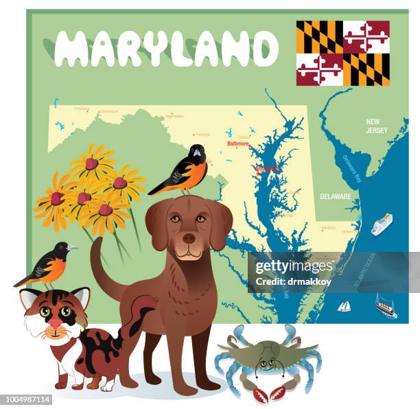 ilustraciones, imágenes clip art, dibujos animados e iconos de stock de símbolos del estado de maryland - chesapeake bay