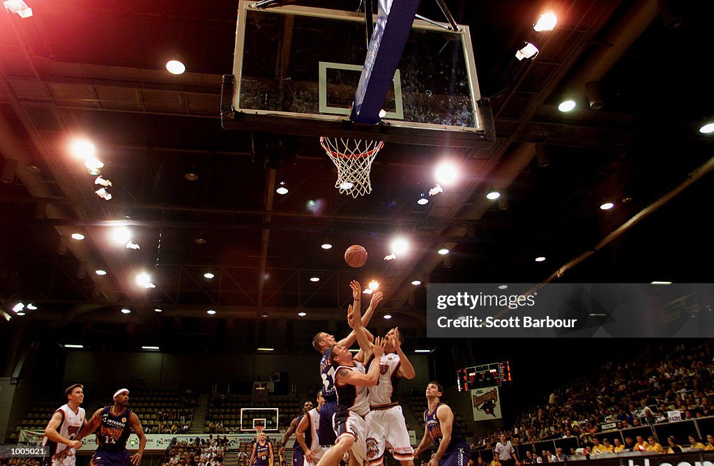 Razorbacks v Taipans