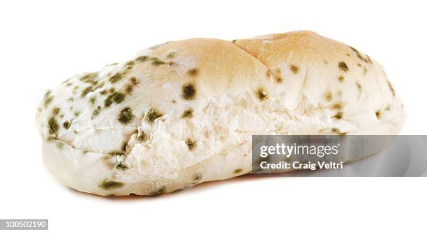 moldy bread - moldy bread stock pictures, royalty-free photos & images