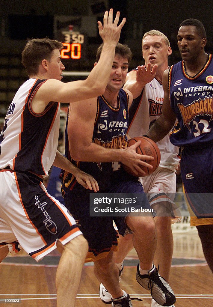 Razorbacks v Taipans