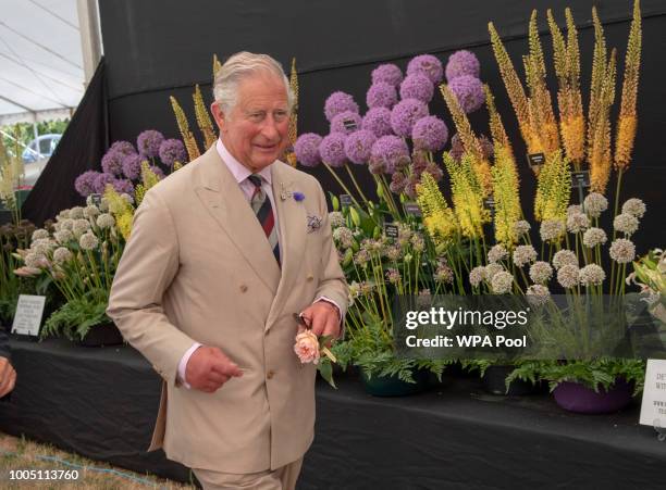 Prince Charles, The Prince of Wales and visits Sandringham Flower Show 2018 at Sandringham House on July 25, 2018 in King's Lynn, England.