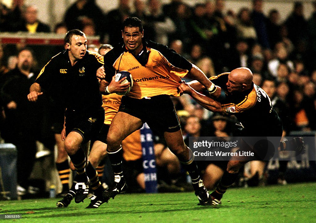 Wasps v Newcastle