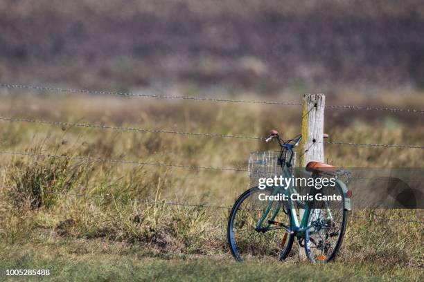 sine corpore: bicycle leaning against post - bush live stockfoto's en -beelden