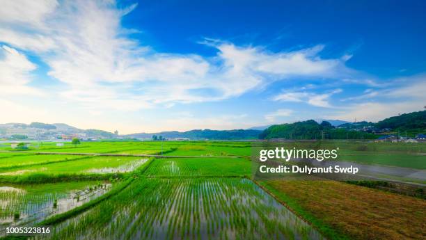 agriculture village in nagasaki , japan - 里山　日本 ストックフォトと画像