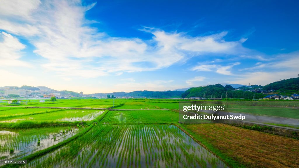 Agriculture village in Nagasaki , Japan