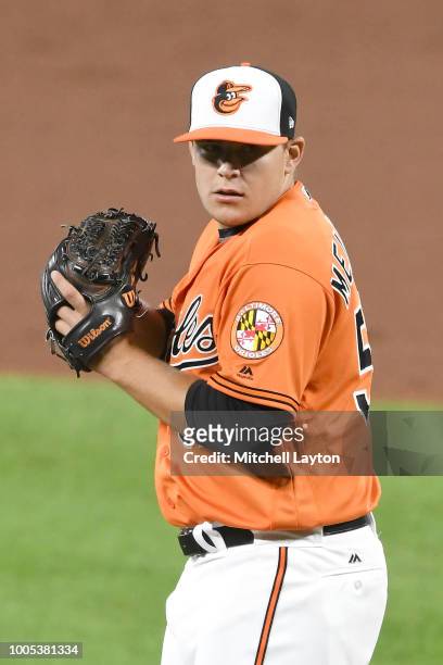 Ryan Meisinger of the Baltimore Orioles pitches during game two of a doubleheader baseball game against the New York Yankees at Oriole Park at Camden...