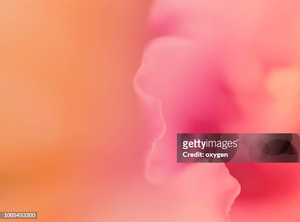 abstract macro flower background - orange couleur photos et images de collection