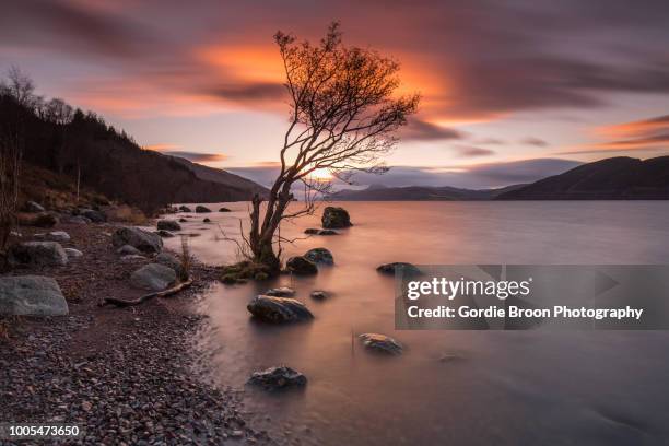 the big and beautiful loch. - loch ness photos et images de collection