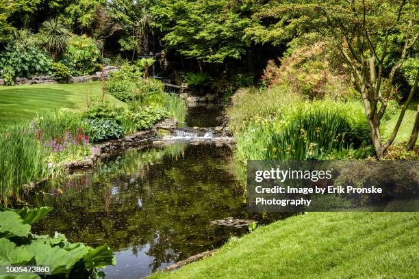 small pond and reflection - pond stock pictures, royalty-free photos & images