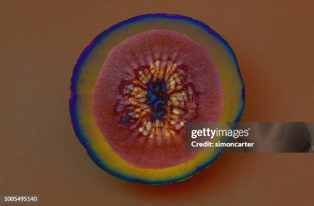 melón y kiwi de fruta abstracta. - alimento genéticamente modificado fotografías e imágenes de stock