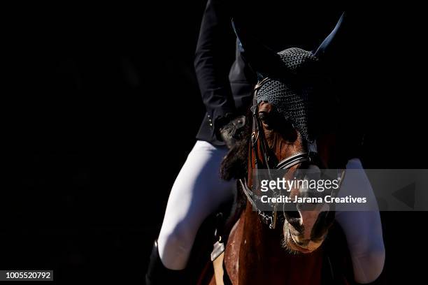 horses - concurso de saltos ecuestres fotografías e imágenes de stock