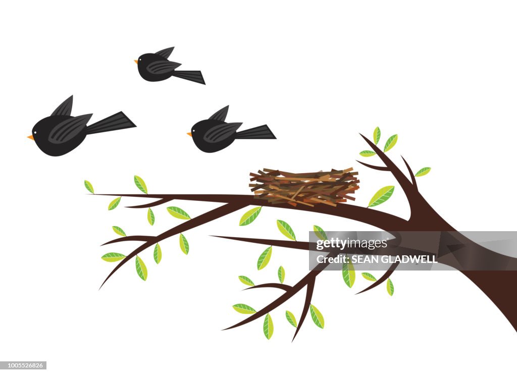 Blackbirds Leaving Birds Nest Cartoon High-Res Stock Photo - Getty Images