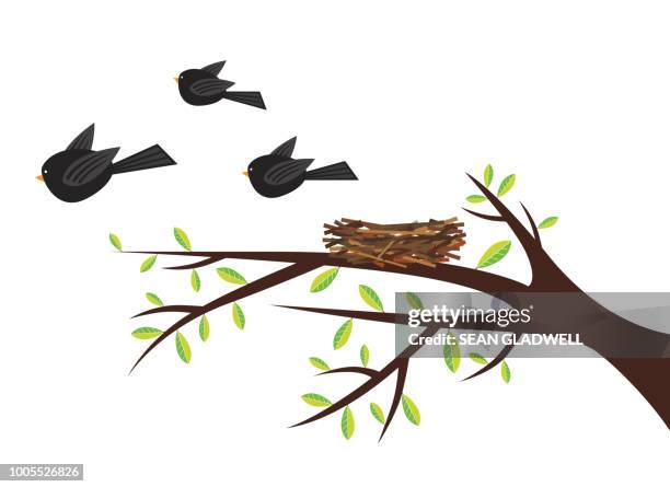 blackbirds leaving bird's nest cartoon - bird's nest stock pictures, royalty-free photos & images