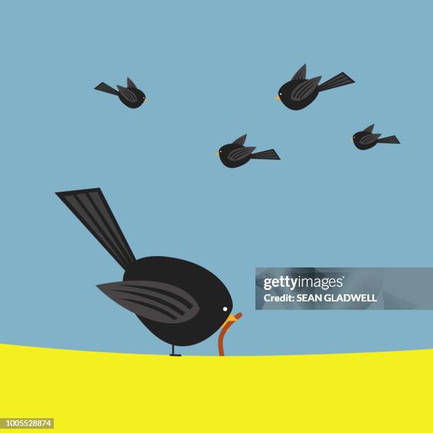 early bird catches the worm - wurm stock-fotos und bilder