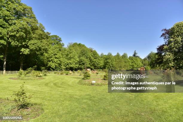 the botanical garden of domaine - antwerp stock pictures, royalty-free photos & images