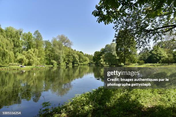 the idyllic decor in springtime under clear sky - antwerp city belgium stock pictures, royalty-free photos & images