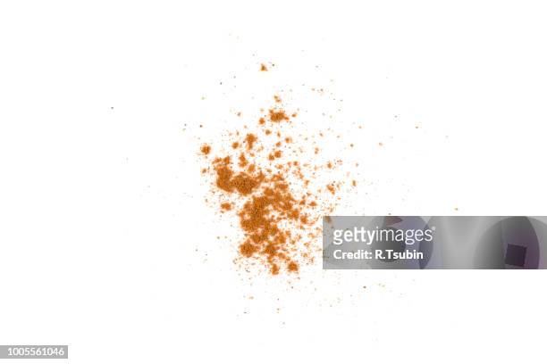 cinnamon powder isolated on a white background - cinnamon imagens e fotografias de stock