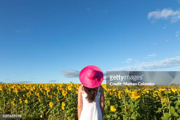 woman in sunflowers field, provence, france - multi colored dress - fotografias e filmes do acervo