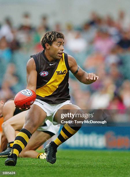 David Rodan 4,350 Fremantle V Richmond Stock Photos, High-Res Pictures, and Images ...