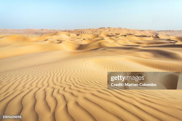 landscape: sand dunes desert, abu dhabi, emirates - dunes arena fotografías e imágenes de stock