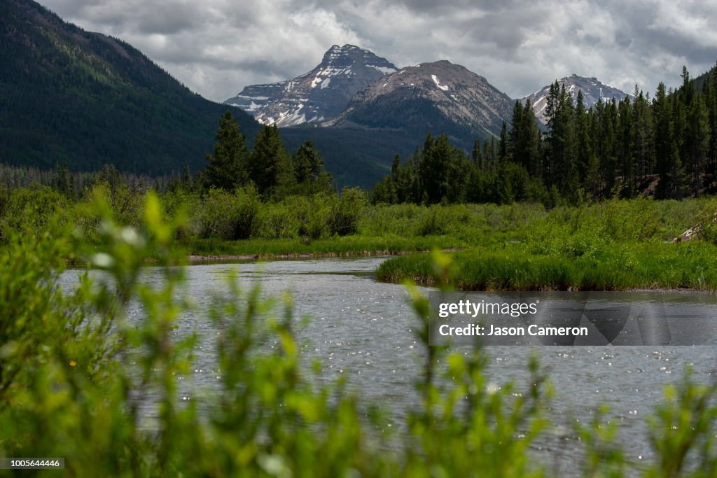 Christmas Meados River