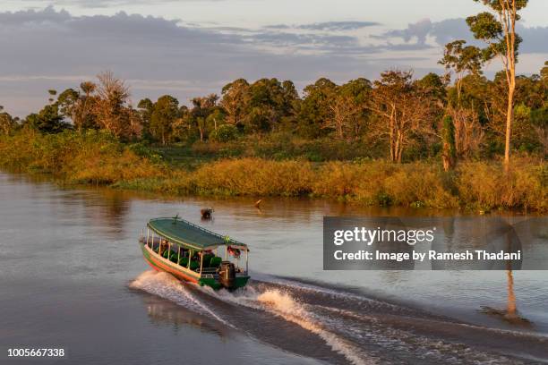 passenger transport - speed boat at sunrise in the amazon - estado del amazonas brasil fotografías e imágenes de stock