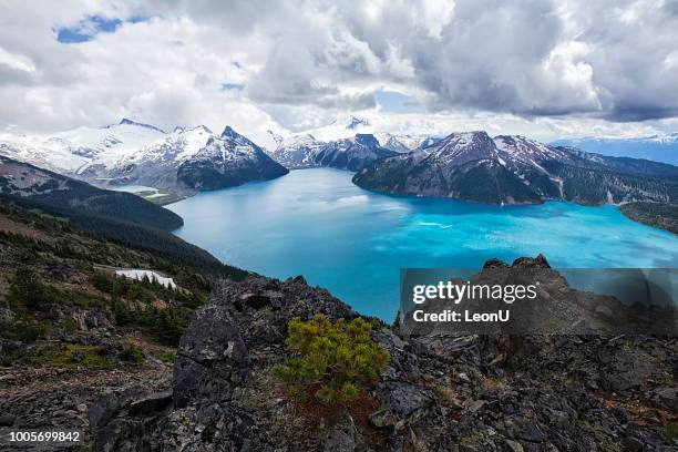 panorama ridge in zomer, bc, canada - vancouver canada stockfoto's en -beelden