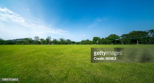green grassland and blue sky - grass stock pictures, royalty-free photos & images