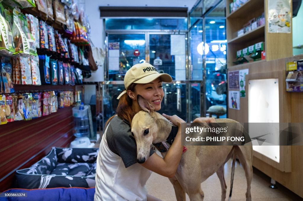 MACAU-SPORT-ANIMAL-GREYHOUNDS