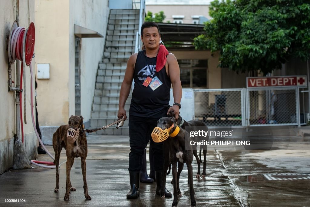 MACAU-SPORT-ANIMAL-GREYHOUNDS