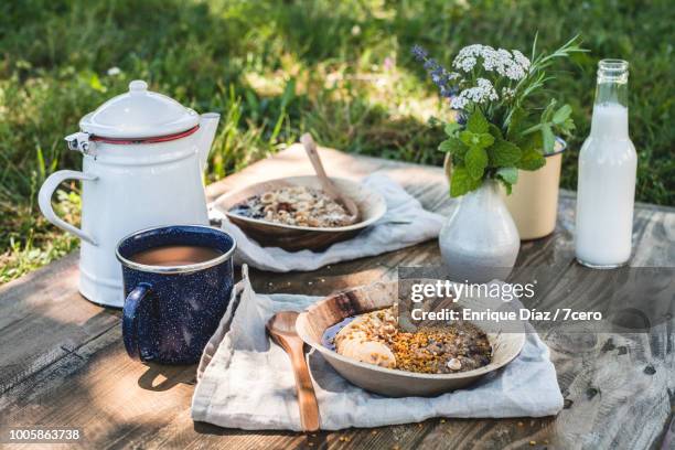 breakfast picnic in the sunshine, on the green grass - foodstyling stock-fotos und bilder