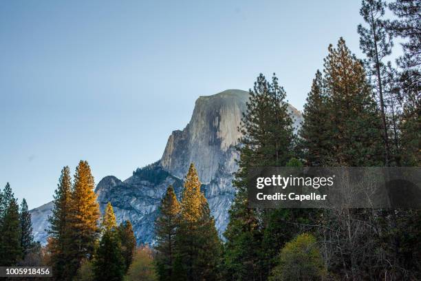 le parc de yosemite, californie - parc national bildbanksfoton och bilder