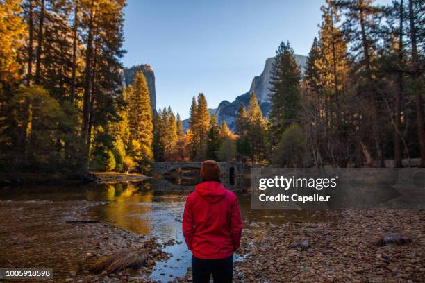 le parc de yosemite, californie - merced river stock pictures, royalty-free photos & images