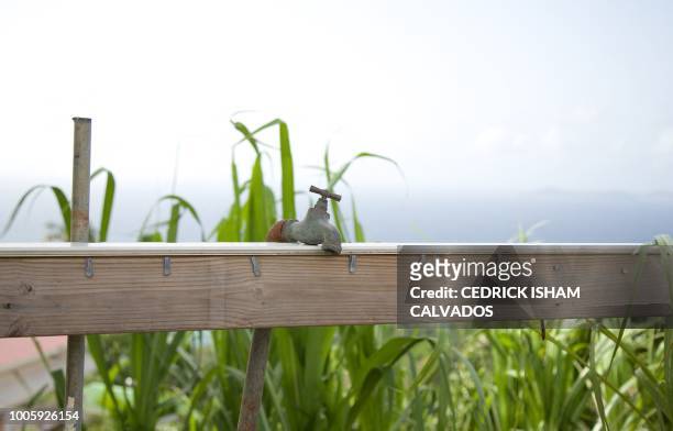 Rusted tap hangs on a wooden fence in Capesterre on the French Overseas Island of Guadeloupe on July 26, 2018. - In Guadeloupe, the water crisis is...