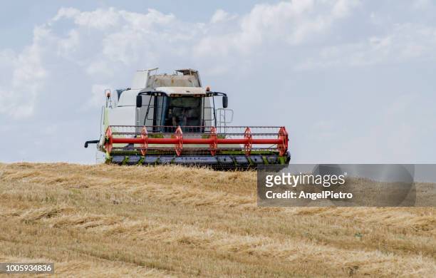 the combine harverster working in a cereals field - field stubble stock pictures, royalty-free photos & images