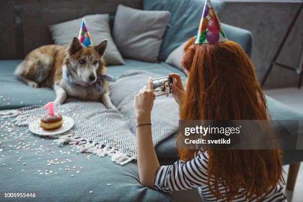 happy birthday dear friend - dog birthday stock pictures, royalty-free photos & images