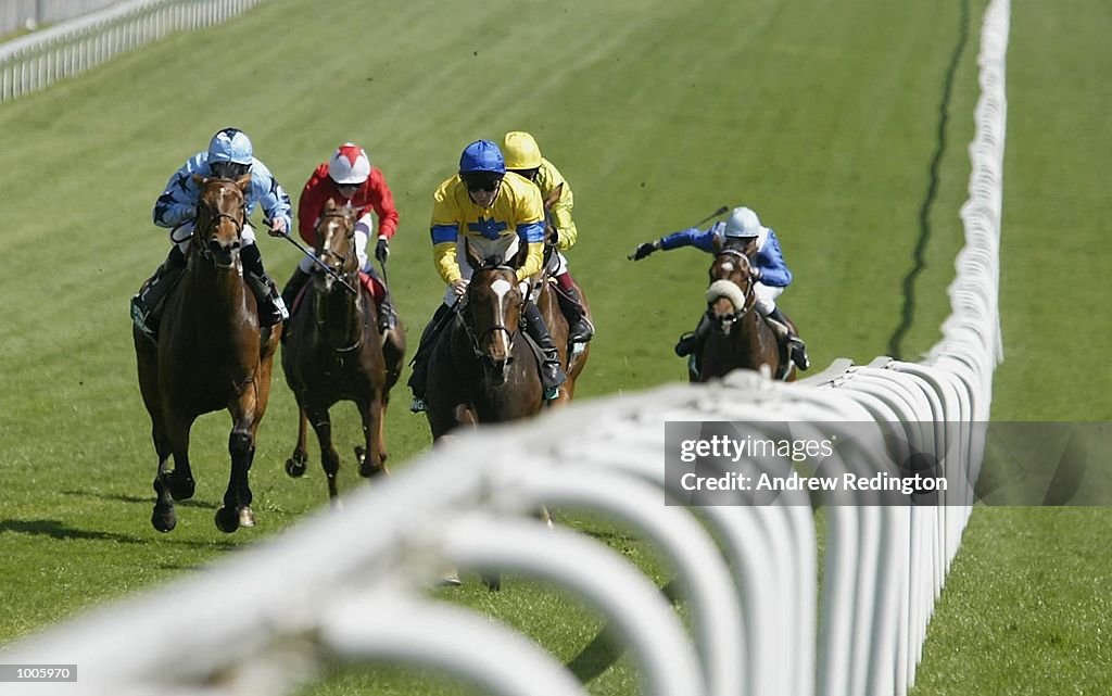 Epsom Races X