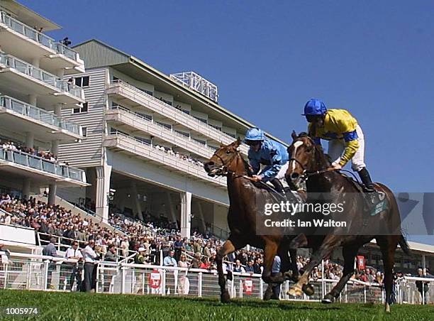 Ron Stanley Racing 117 The Stanley Racing Stakes Stock Photos, High-Res Pictures, and ...