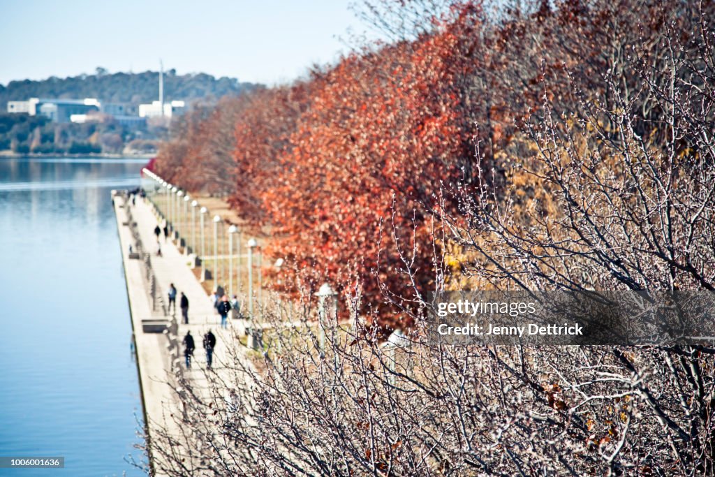 Autumn day, Lake Burley Griffin, Canberra